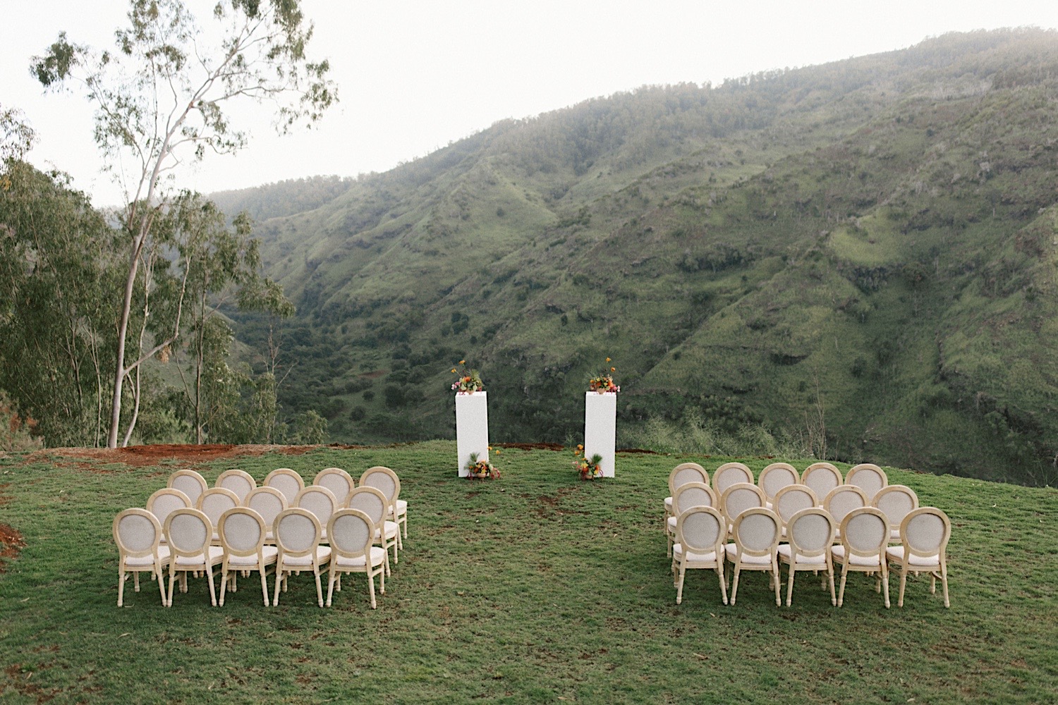 Honolulu Elopement at Waialua Valley Farms Diandra + Taylor Mersadi