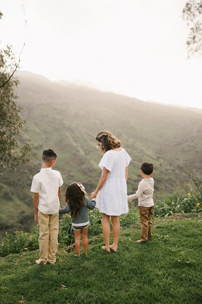 Four children stand together holding hands while looking out over a mountain during their family session