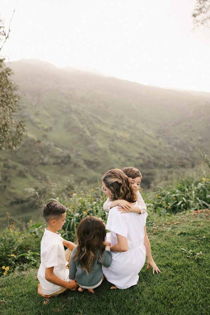A group of four siblings sit with one another while overlooking a mountain on Oahu, the oldest daughter is being hugged by the youngest son