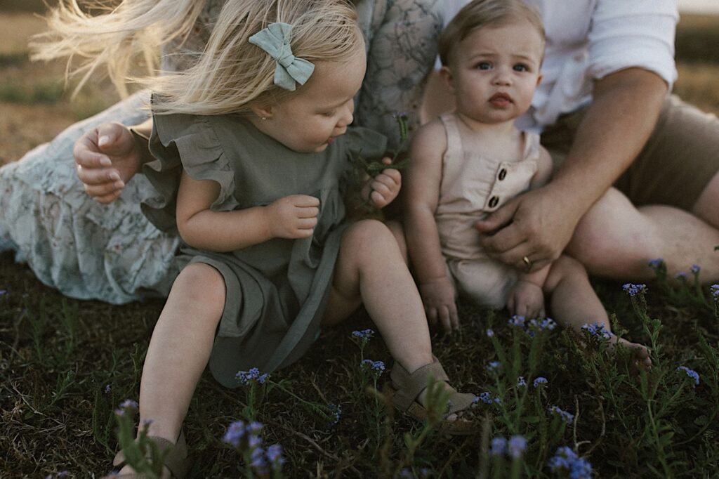 Two young children sit in a field with their parents behind them, one child looks at a piece of grass she picked out while the other is looking at the camera