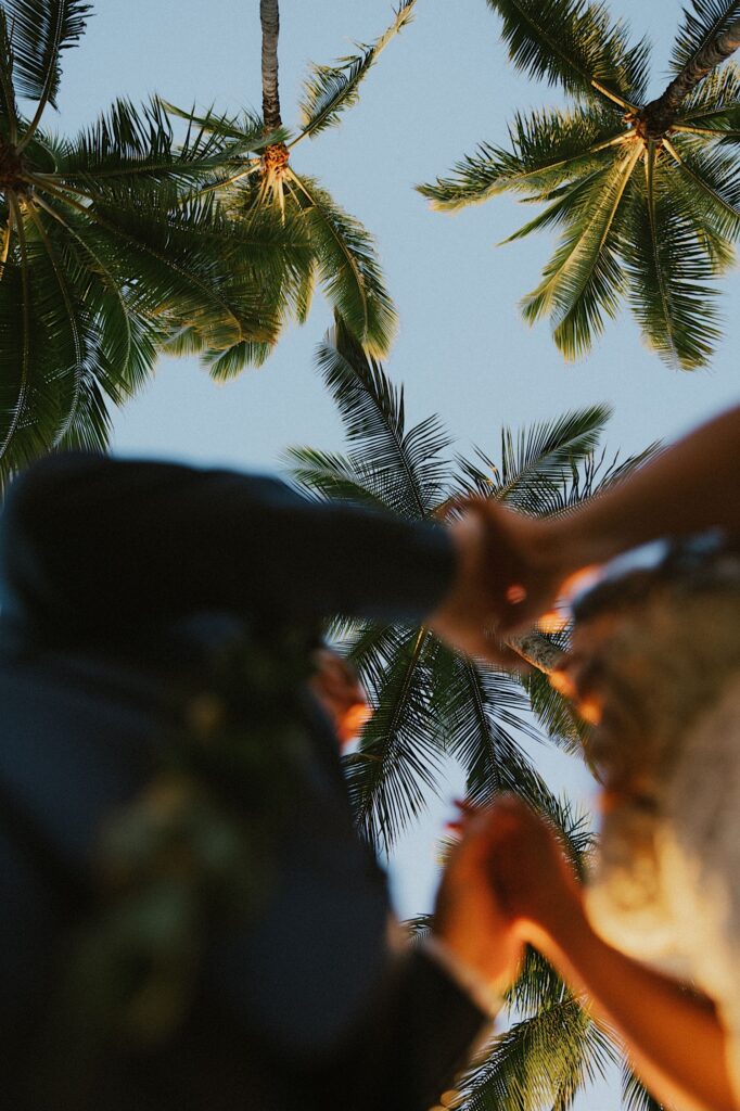 A photo taken from underneath a bride and groom as they hold hands in the foreground, above them are the leaves of palm trees in focus