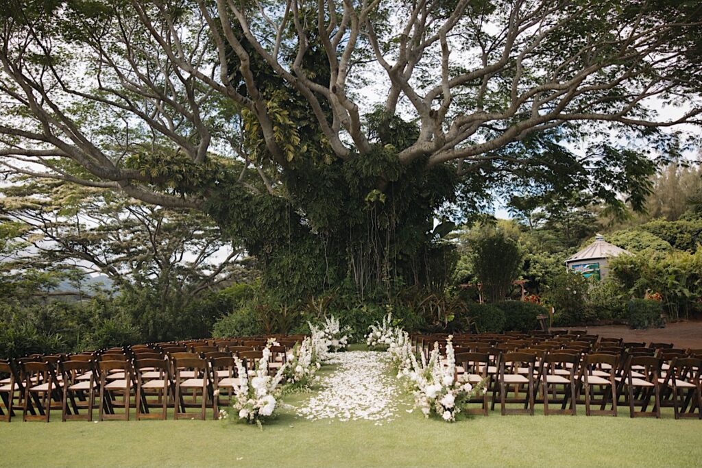 A ceremony space at Kukui'ula on Kauai set up for a wedding ceremony with wooden chairs and white flowers, at the center of the ceremony space is a large vine covered tree