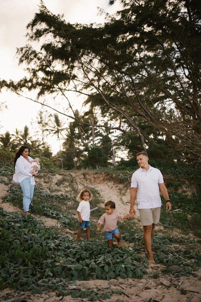A family of 5 walk down a hill towards a beach in Hawaii, the father is walking ahead with the two older children while the mother walks behind holding a newborn baby