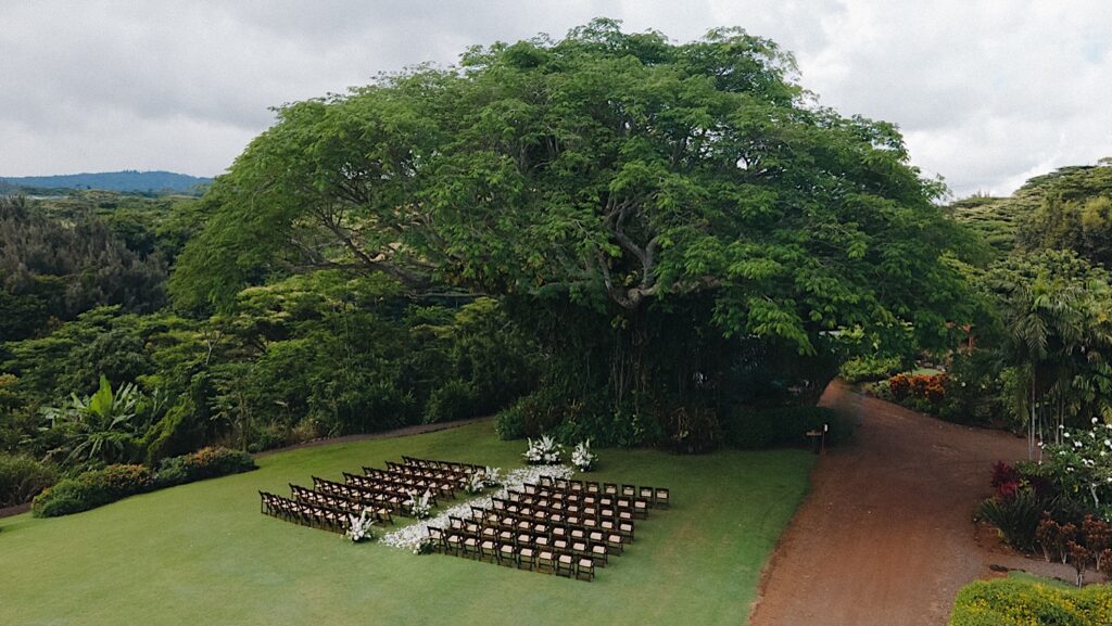 Aerial photo of a wedding ceremony space set up in front of a massive tree at Kukui'ula on Kauai