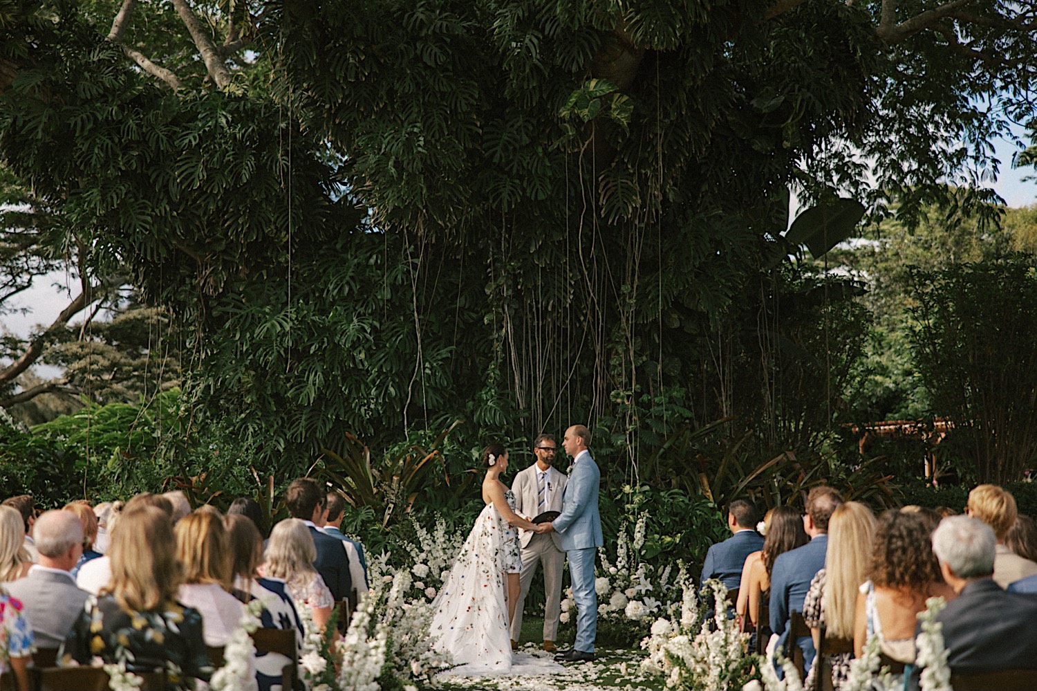 A wedding ceremony space at Kukui'ula on Kauai is decorated with white flowers, guests are seated on either side and the bride and groom hold hands underneath a massive vine covered tree