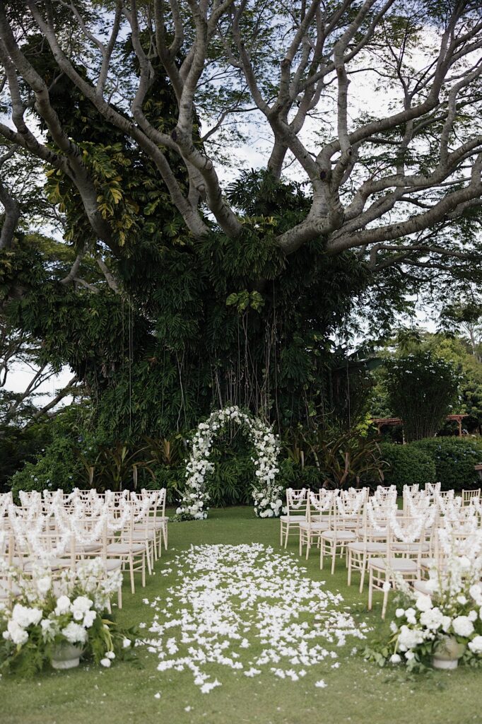 A wedding ceremony space decorated with white flowers on the chairs, the ground, and a floral archway, the centerpiece of the ceremony space is a large tree in the background