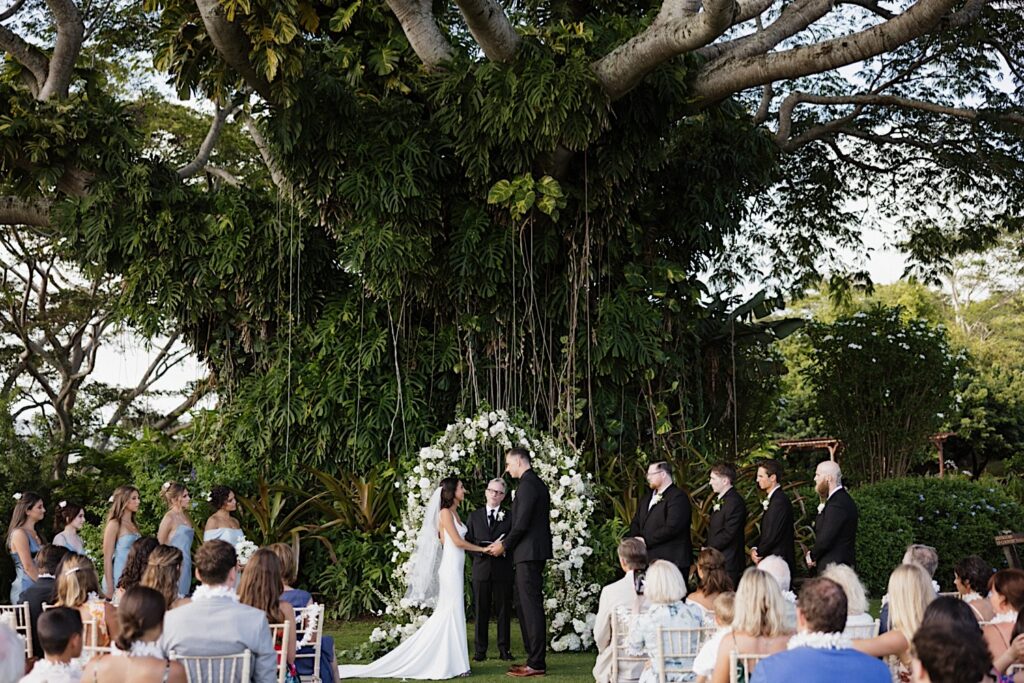 A bride and groom stand and hold hands under a massive tree at the farm of Kukui’ula on Kauai during their wedding ceremony