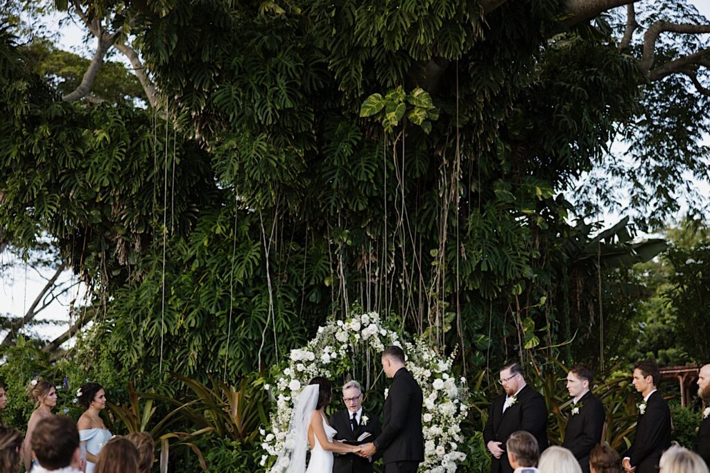 An officiant speaks during a wedding ceremony underneath a massive tree at Kukui’ula on Kauai while the bride and groom hold hands