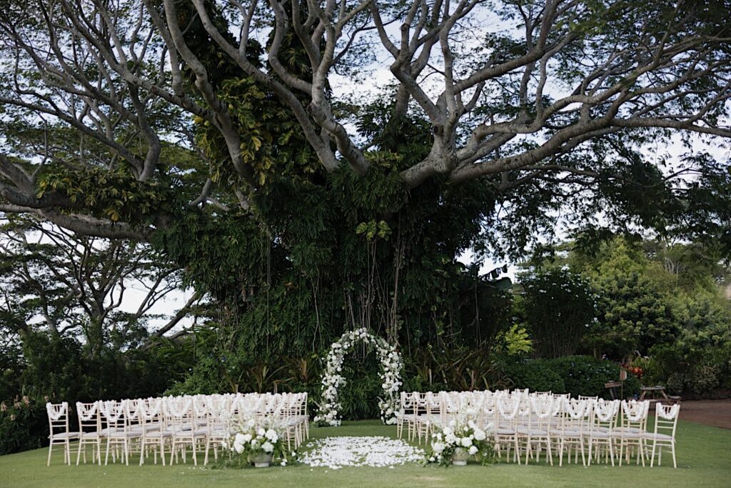 White chairs are set up with flower petals scattered in the aisle and a flower arch at the end of the aisle. The ceremony is set up in front of a large tree with vines hanging from its branches. 