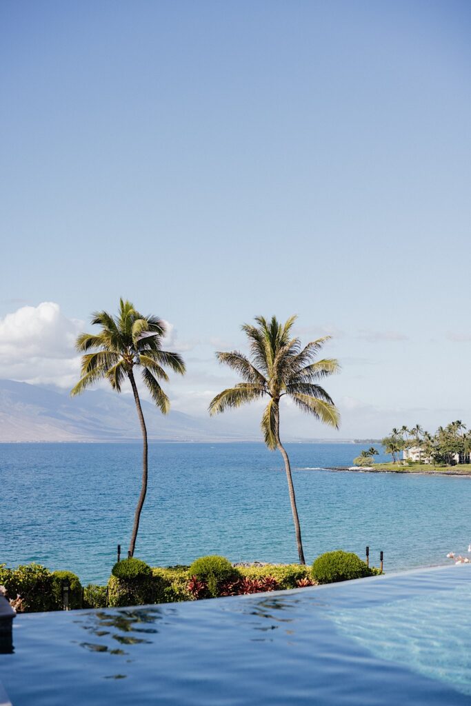 Palm trees stand in front of the ocean as seen from a pool at the Four Seasons Resort on Maui