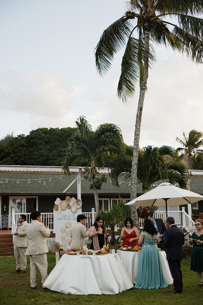 Guests of a wedding mingle together during the outdoor cocktail hour while under palm trees