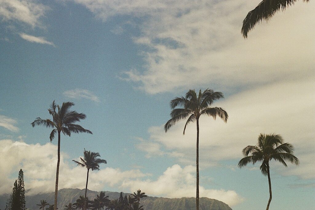 Hawaii wedding photographer captures beautiful palm trees with a cloudy sky at a Hawaii resort for couples. 