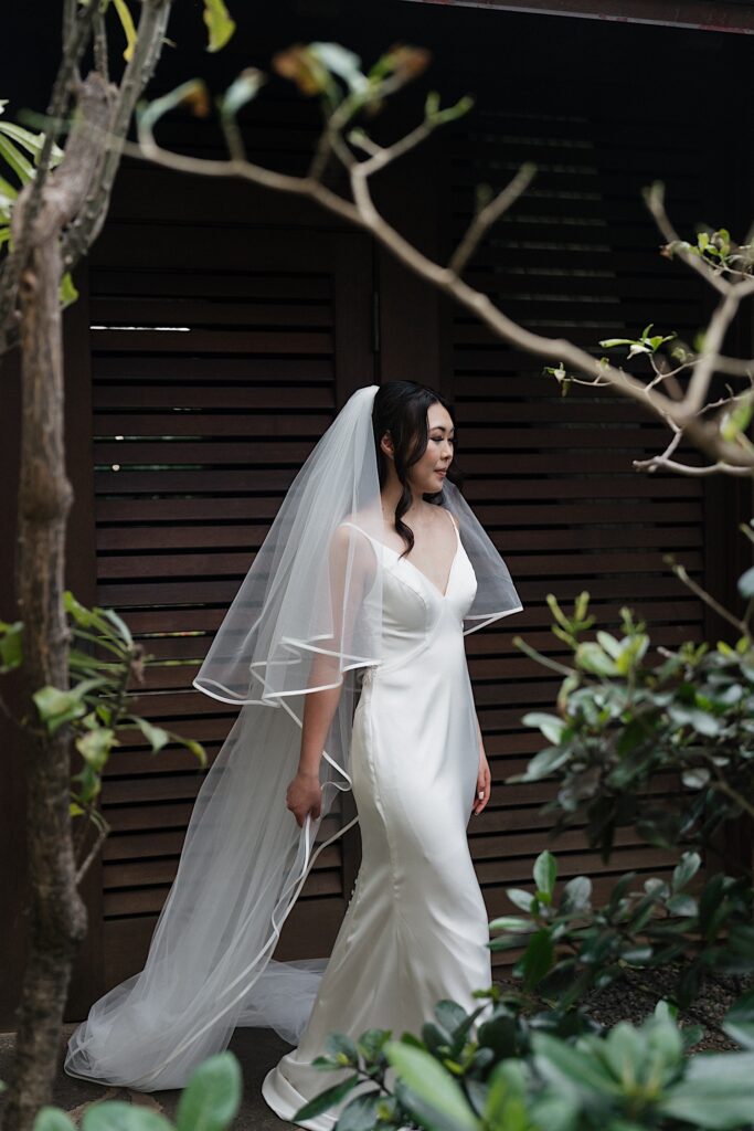 Bride poses in her white gown and long white veil surrounded by tropical trees and branches outside Four Seasons Oahu in Hawaii. 